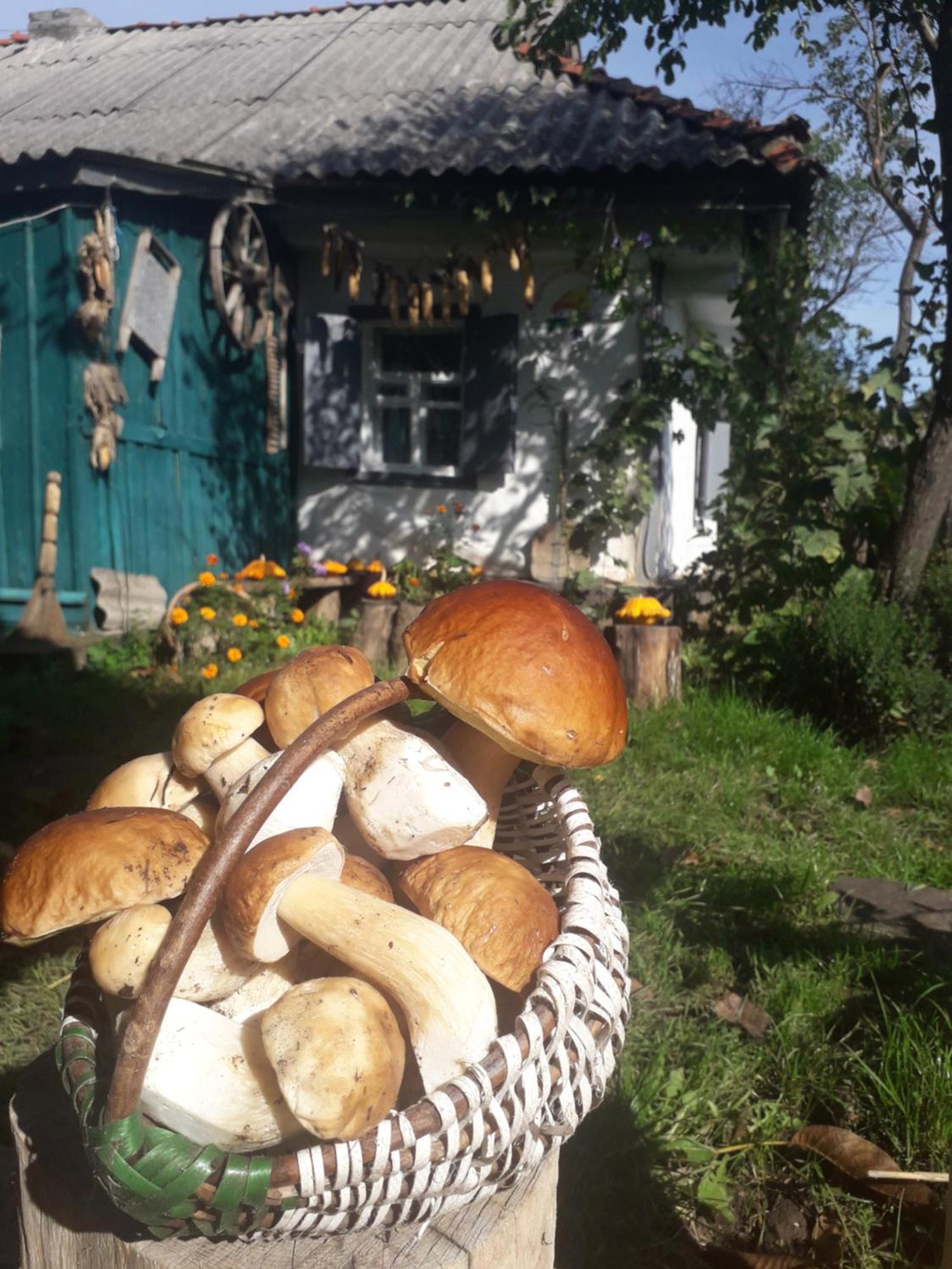 Медова Садиба Subbotiv Cameră foto